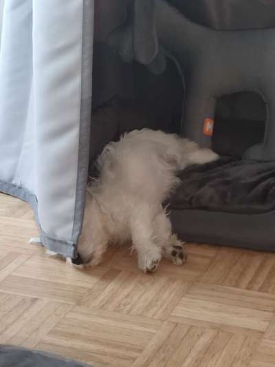 Die unbequemsten und lustigsten Schlafpositionen-Beitrag-Bild