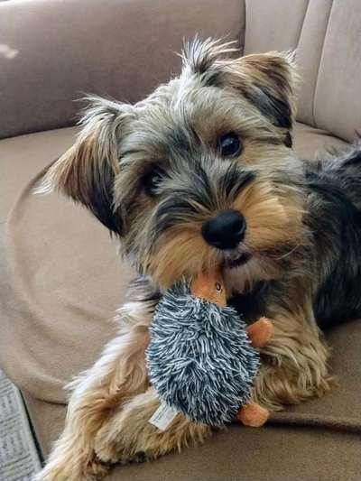 Erstes Bild-Beitrag-Bild