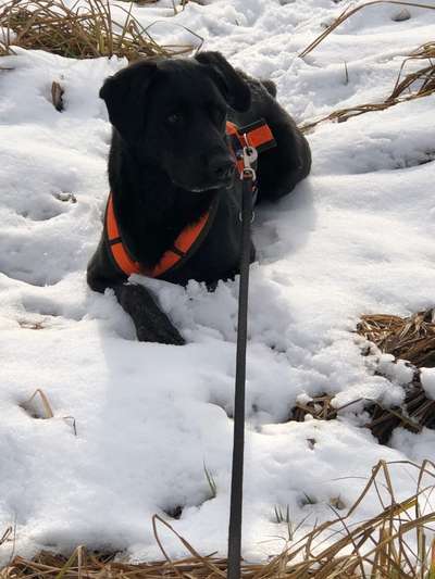 Handy-Foto-Challange Nr.9-Beitrag-Bild