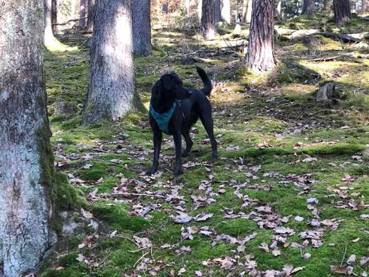 Foto Challenge Nr. 79-Beitrag-Bild