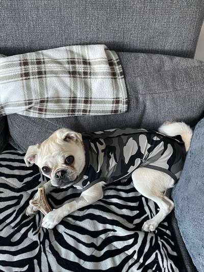 Wunde nach OP kein pflaster hält-Beitrag-Bild