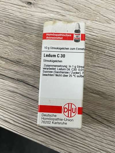 Bravecto-Beitrag-Bild