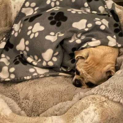 Relaxen im bett-Beitrag-Bild