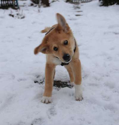 Sie werden so schnell erwachsen ...-Beitrag-Bild