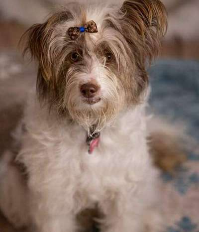 Fotochallange Nr. 57     PORTRÄT.   Beendet!!!!!!!!-Beitrag-Bild