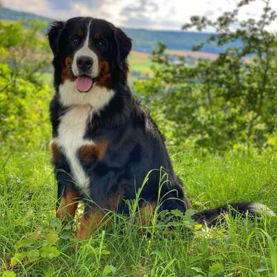 Fotochallenge 78

Es grünt und blüht-Beitrag-Bild