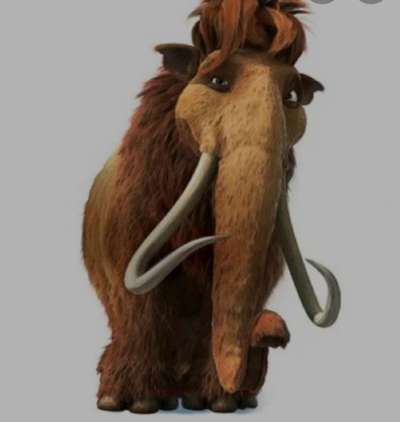 Wie heißt dein Hund?-Beitrag-Bild