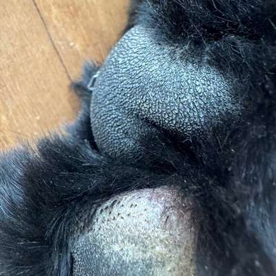 Was könnte das sein?-Beitrag-Bild