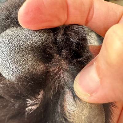 Was könnte das sein?-Beitrag-Bild