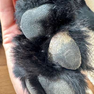 Was könnte das sein?-Beitrag-Bild