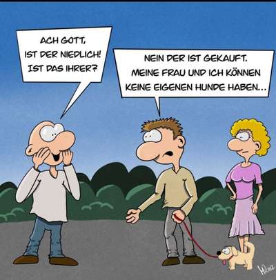 Hunde Memes-Beitrag-Bild