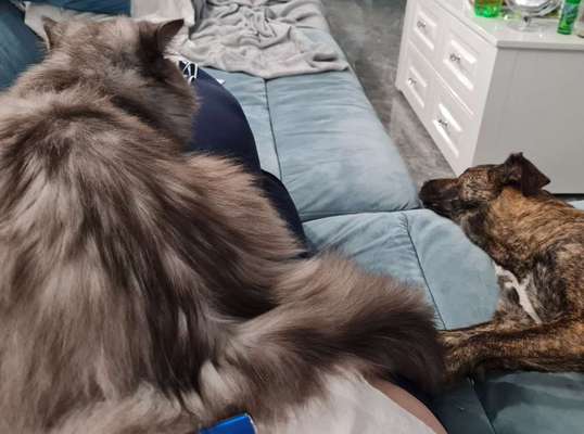 Bright side of life! Schönwetter-Thread-Beitrag-Bild