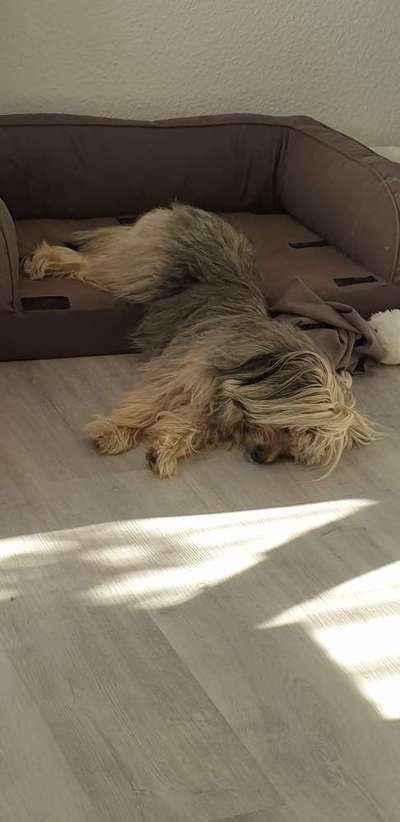 Die unbequemsten und lustigsten Schlafpositionen-Beitrag-Bild