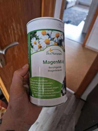 Darmaufbau-Beitrag-Bild