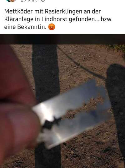 Giftköder-Mettköder gefunden !!-Bild