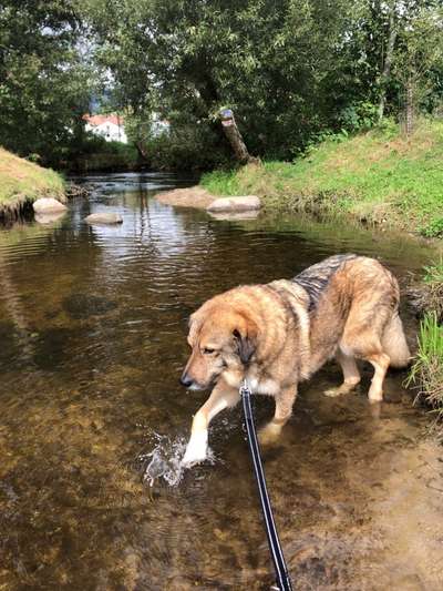 35. Handy Foto Challenge - Das nasse Element-Beitrag-Bild