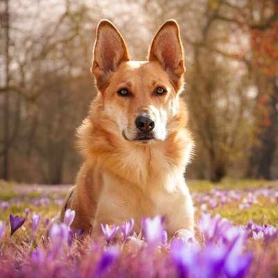 Austausch zur Fotografie-Beitrag-Bild