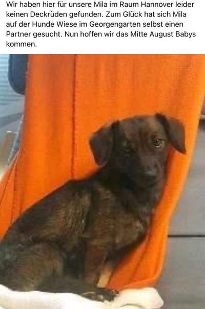 Von Ups-Würfen und der Corona Zeit-Beitrag-Bild