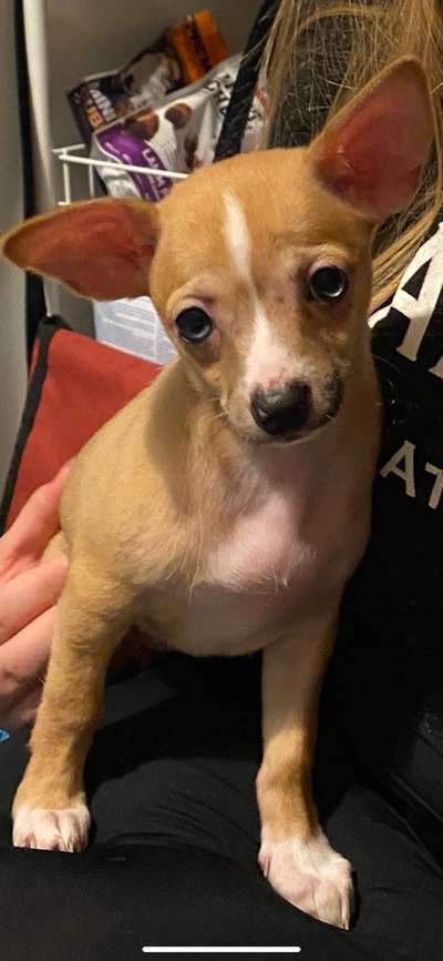 Das erste Foto-Beitrag-Bild