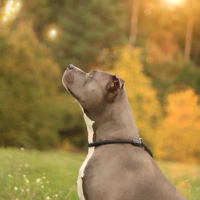 Austausch zur Fotografie-Beitrag-Bild