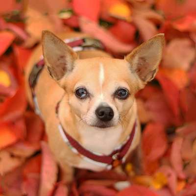 Austausch zur Fotografie-Beitrag-Bild