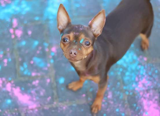 Austausch zur Fotografie-Beitrag-Bild