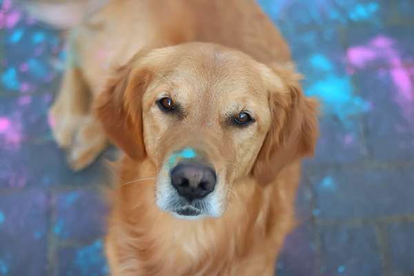 Austausch zur Fotografie-Beitrag-Bild