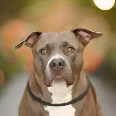 Austausch zur Fotografie-Beitrag-Bild