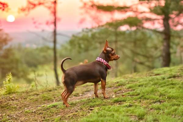 Austausch zur Fotografie-Beitrag-Bild