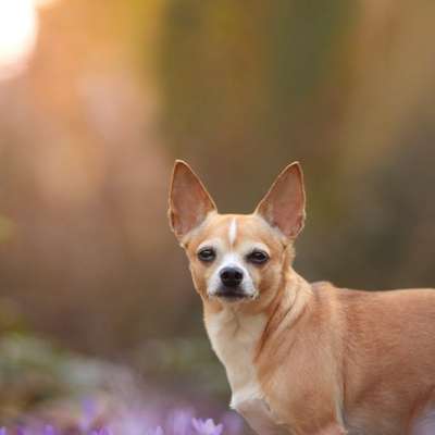 Austausch zur Fotografie-Beitrag-Bild