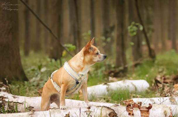 Austausch zur Fotografie-Beitrag-Bild