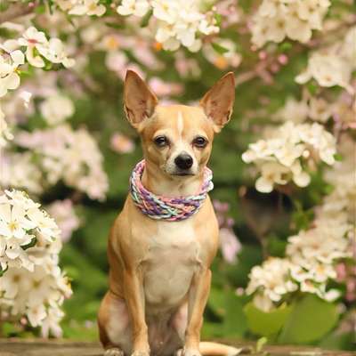 Austausch zur Fotografie-Beitrag-Bild