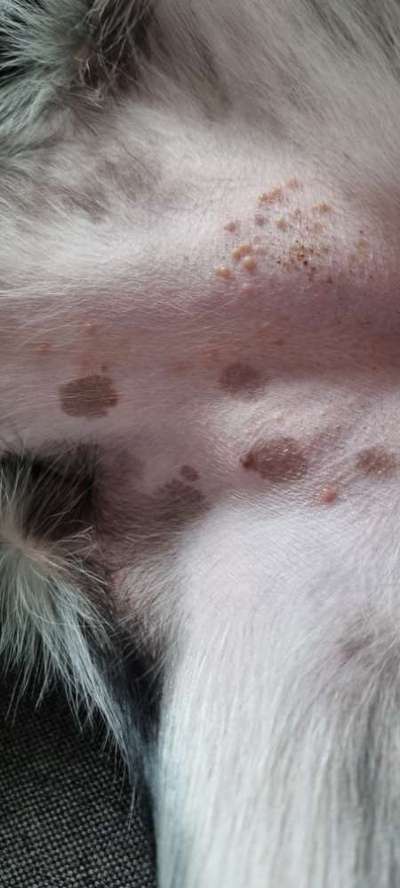 Was sind das für Pickel?-Beitrag-Bild