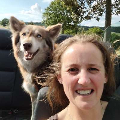 Hundetreffen-Spiel und Trekking Freunde-Profilbild