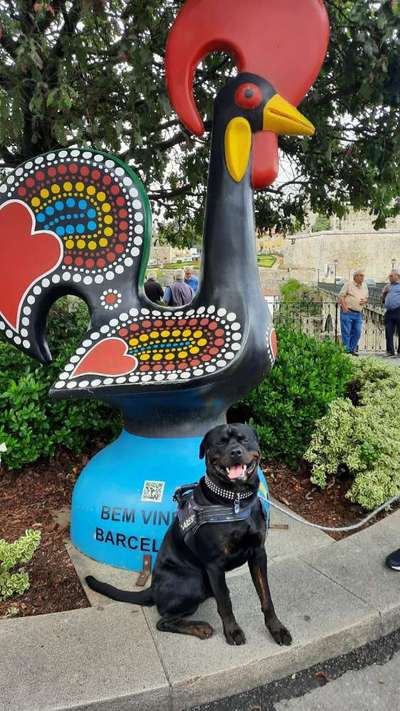 Fotochallenge Nr.100 Urlaubsimpressionen-Beitrag-Bild