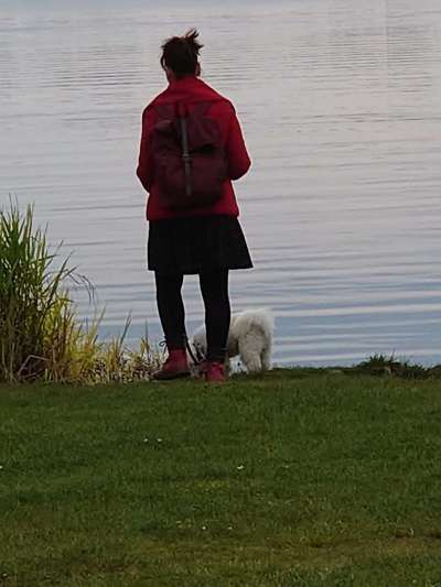 Dogorama-Monats-Challenge-Mai "Wasser"-Beitrag-Bild