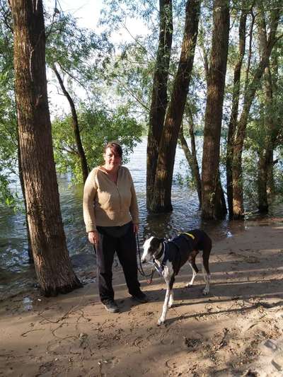 Windhunde - Treffen der besonderen Schönheiten
HERZLICH WILLKOMMEN-Beitrag-Bild