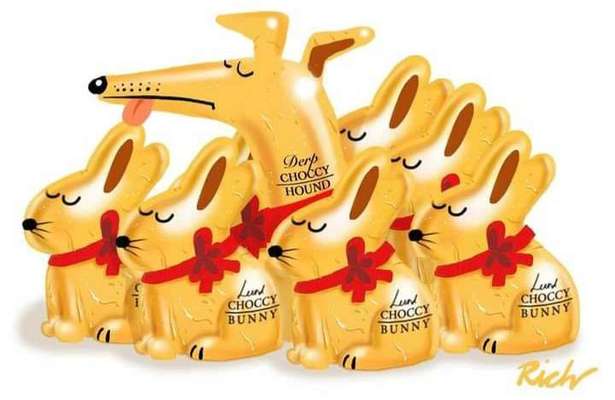 Windhunde - Treffen der besonderen Schönheiten
HERZLICH WILLKOMMEN-Beitrag-Bild