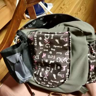 Windhunde - Treffen der besonderen Schönheiten
HERZLICH WILLKOMMEN-Beitrag-Bild