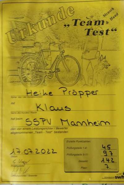 Windhunde - Treffen der besonderen Schönheiten
HERZLICH WILLKOMMEN-Beitrag-Bild