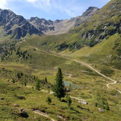 Windhunde - Treffen der besonderen Schönheiten
HERZLICH WILLKOMMEN-Beitrag-Bild