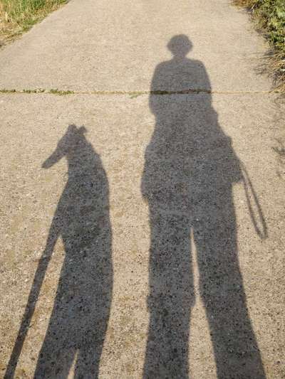 Windhunde - Treffen der besonderen Schönheiten
HERZLICH WILLKOMMEN-Beitrag-Bild