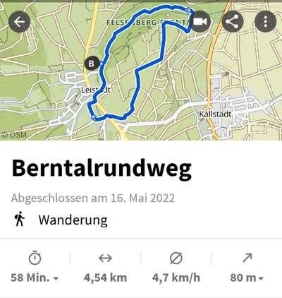 Windhunde - Treffen der besonderen Schönheiten
HERZLICH WILLKOMMEN-Beitrag-Bild