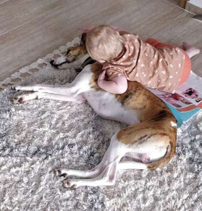 Windhunde - Treffen der besonderen Schönheiten
HERZLICH WILLKOMMEN-Beitrag-Bild