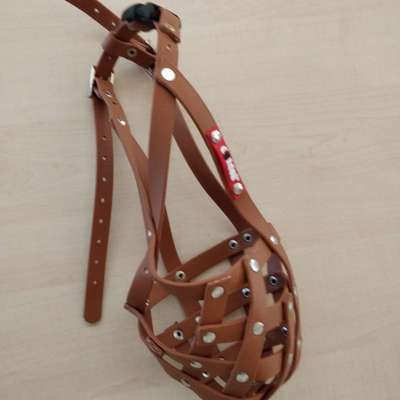 Windhunde - Treffen der besonderen Schönheiten
HERZLICH WILLKOMMEN-Beitrag-Bild