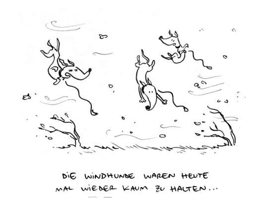 Windhunde - Treffen der besonderen Schönheiten
HERZLICH WILLKOMMEN-Beitrag-Bild