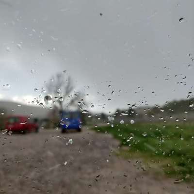 Windhunde - Treffen der besonderen Schönheiten
HERZLICH WILLKOMMEN-Beitrag-Bild