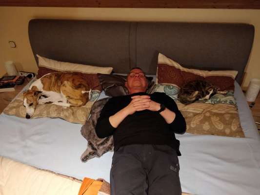 Windhunde - Treffen der besonderen Schönheiten
HERZLICH WILLKOMMEN-Beitrag-Bild