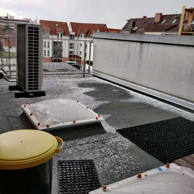 Windhunde - Treffen der besonderen Schönheiten
HERZLICH WILLKOMMEN-Beitrag-Bild