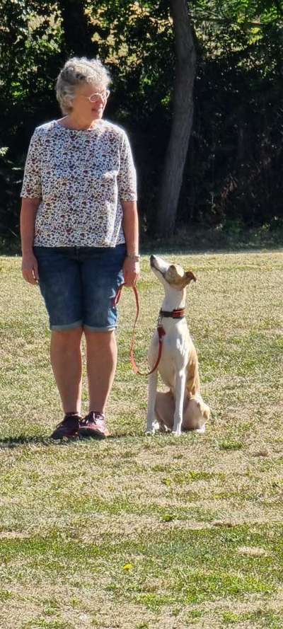 Windhunde - Treffen der besonderen Schönheiten
HERZLICH WILLKOMMEN-Beitrag-Bild